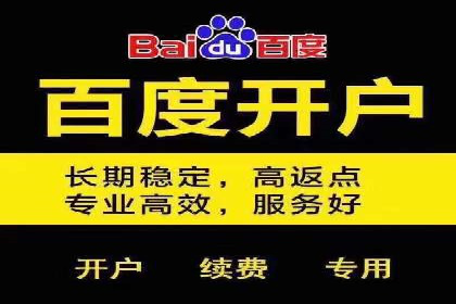 竞价排名案例：跨平台推广效果分析